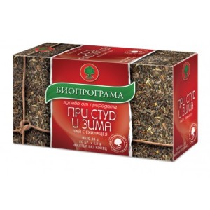 Bioprograma чай При студ и зима 20 бр.